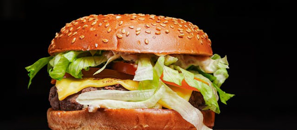 Symbolfoto von der Produktgruppe LaSera Burger